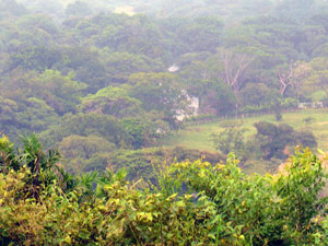 The Canas River flows down the beautiful valley.